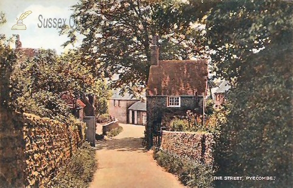 Image of Pyecombe - The Street