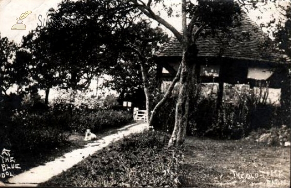 Image of Coolham - Blue Idol, Old Time Barn