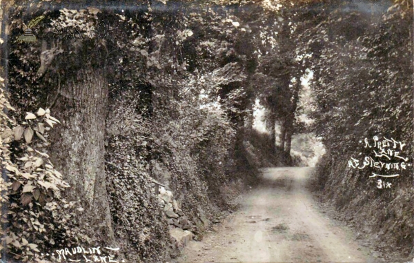 Image of Steyning - Maudlin Lane