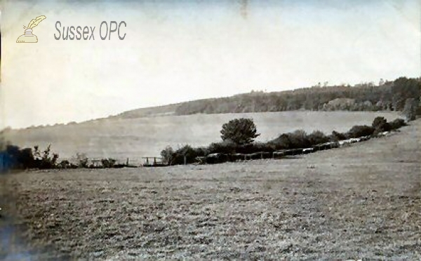 Image of Stoughton - Game Farm, Hatching Ground