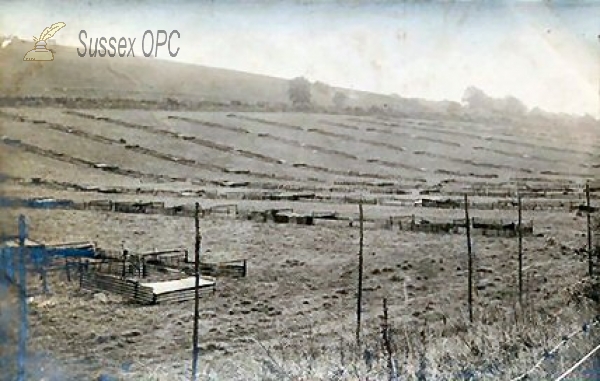 Image of Stoughton - Game Farm, Laying Pens from Waltham