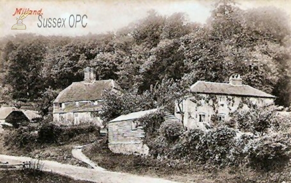 Image of Milland - The Village