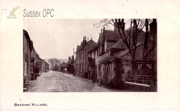 Image of Beeding - The Village