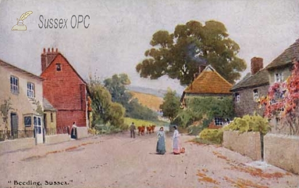 Image of Beeding - The Village