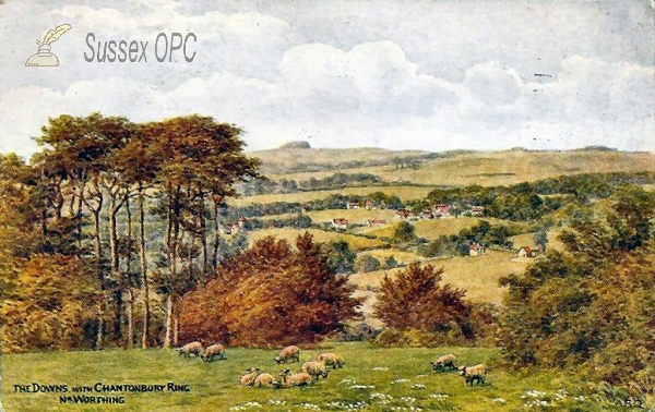 Image of Washington - Chanctonbury Ring