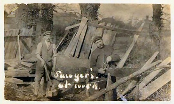 Image of Washington - Sawyers at work