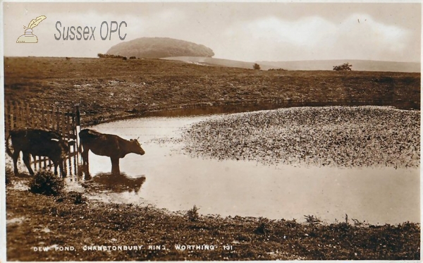 Image of Washington - Chanctonbury Ring & Dew Pond