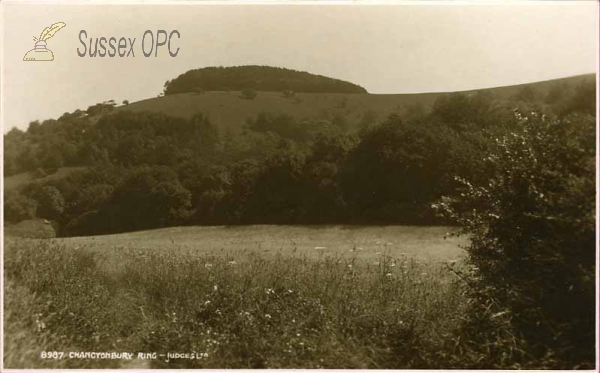 Image of Washington - Chanctonbury Ring