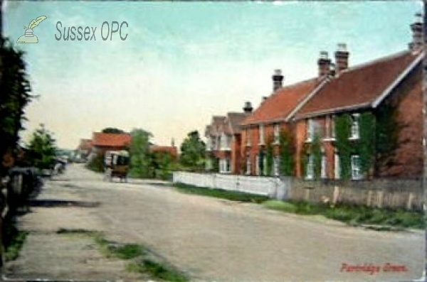 Image of Partridge Green - The Village