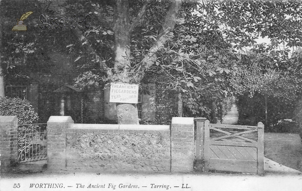 Image of West Tarring - Fig Gardens