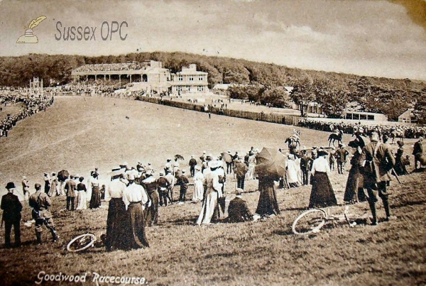 Image of Westhampnett - Goodwood Racecourse