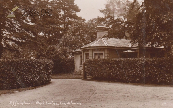 Image of Copthorne - Effingham Park Lodge