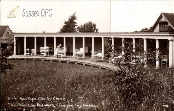 Image of Chailey - Girls Heritage, Chailey Clump