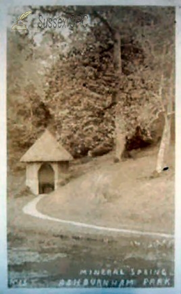 Image of Ashburnham - Ashburnham Park (Mineral Spring)