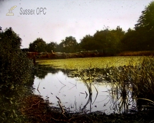 Image of Ashburnham - Pond