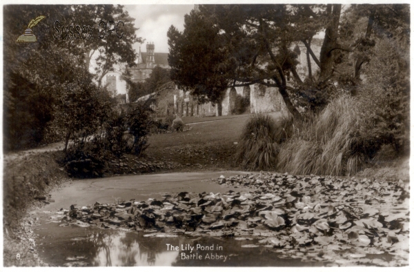 Battle - The Abbey - Lily Pond