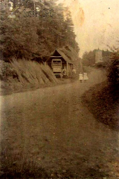 Netherfield - Street scene