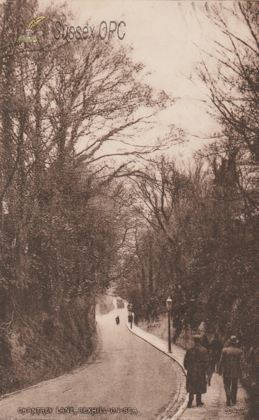 Image of Bexhill - Chantry Lane