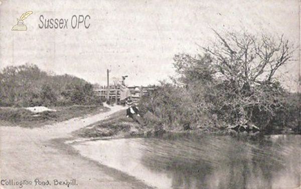 Image of Bexhill - Collington Pond