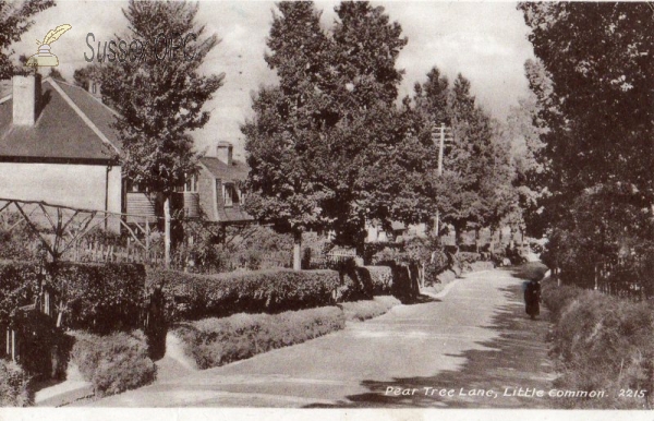 Image of Little Common - Pear Tree Lane