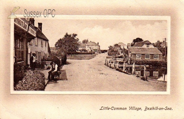 Image of Little Common - The Village & Dairy