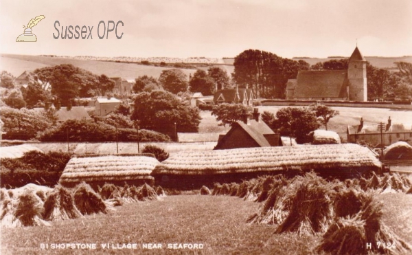 Image of Bishopstone - Village (St Andrew)