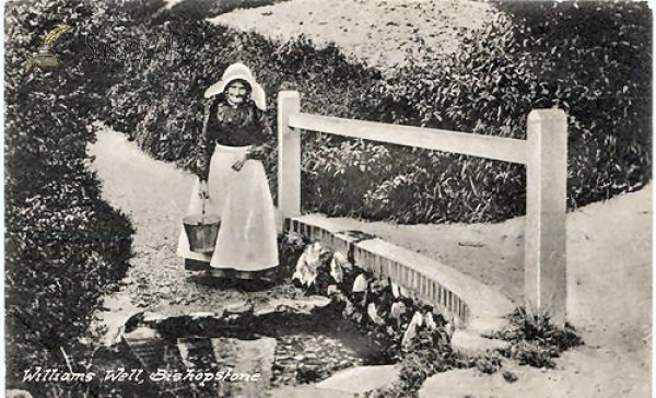 Image of Bishopstone - William's Well