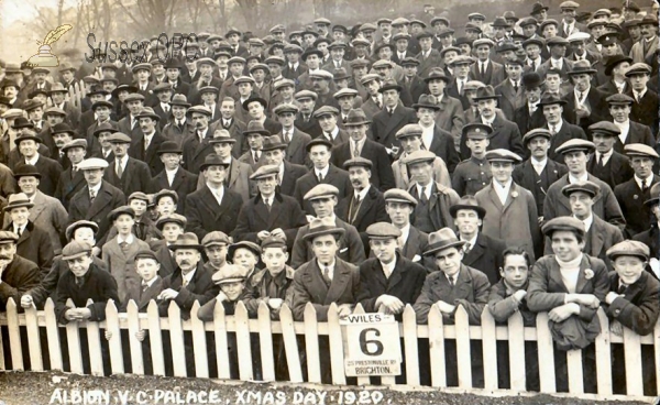 Brighton - Brighton & Hove Albion v Crystal Palace