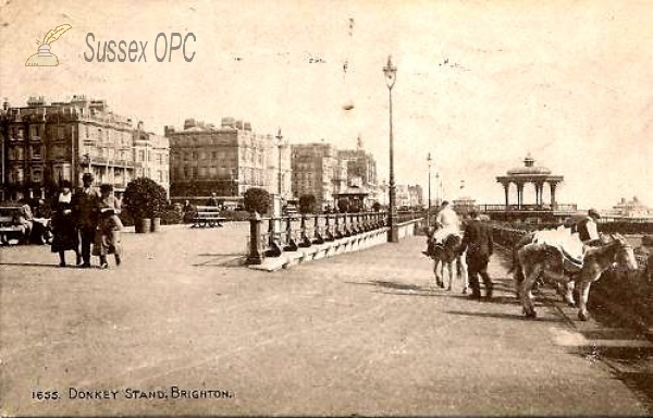 Brighton - Donkey Stand