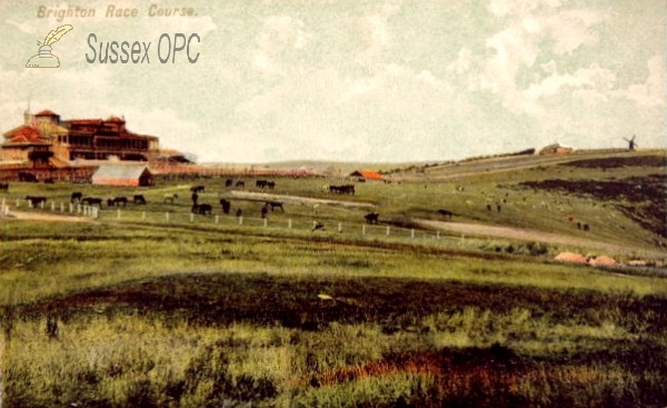 Brighton - Racecourse