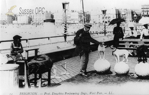 Image of Brighton - West Pier (Prof. Doughty's performing dogs)