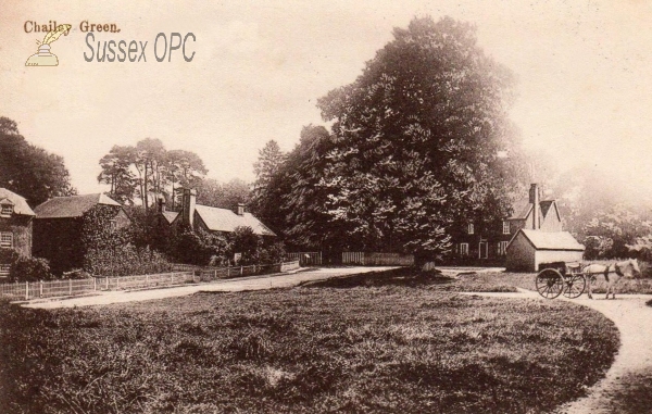 Image of Chailey - Green