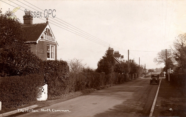 Image of Chailey - North Common (The Hollies)