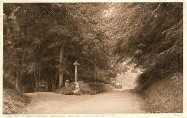 Crowborough - Hollies (Near Friars Gate)