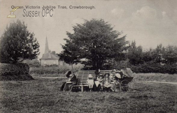 Crowborough - Queen Victoria Jubilee Tree