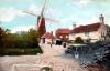 Thumbnail of an image