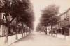 Thumbnail of an image