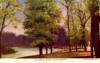 Thumbnail of an image