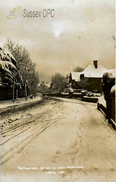 Image of Eastbourne - After the Great Snowstorm