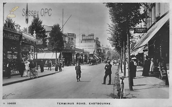 Image of Eastbourne - Terminus Road