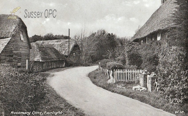 Image of Fairlight - Rosemary Lane