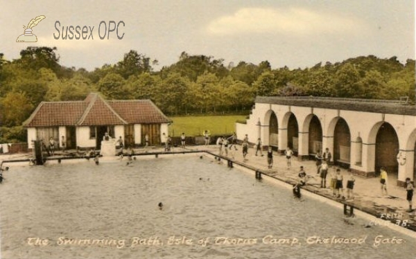 Image of Chelwood Gate - Isle of Thorns (Swimming Pool)