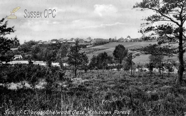 Chelwood Gate - Isle of Thorns