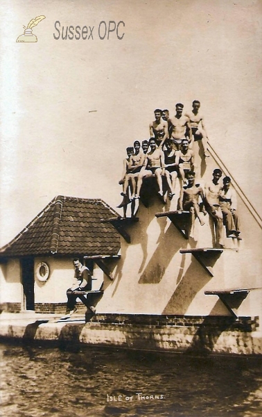 Image of Chelwood Gate - Isle of Thorns, Divers