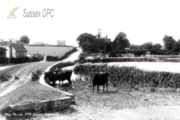 Fletching - Piltdown Pond