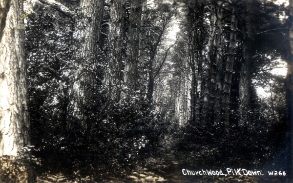 Piltdown - Church Wood