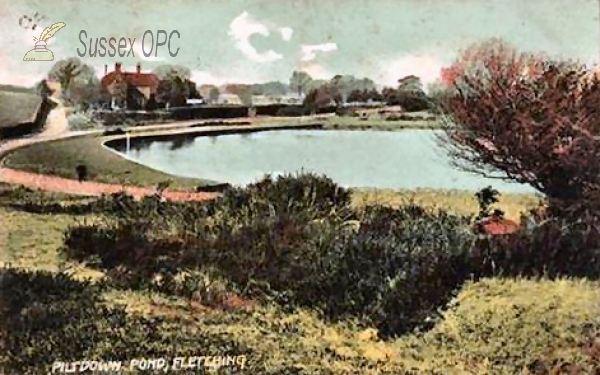 Image of Piltdown - The Pond