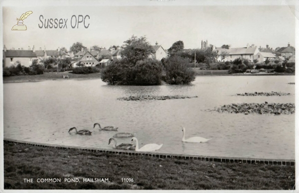 Image of Hailsham - The Common Pond