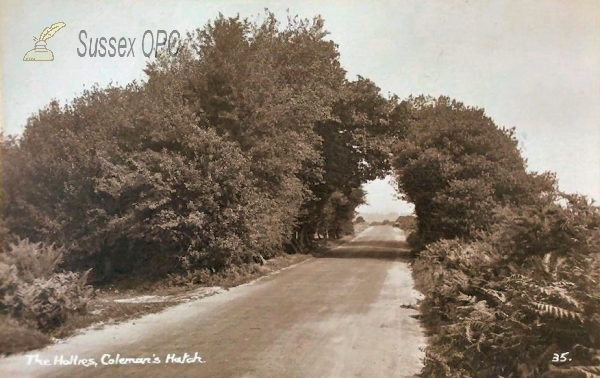 Image of Colemans Hatch - The Hollies
