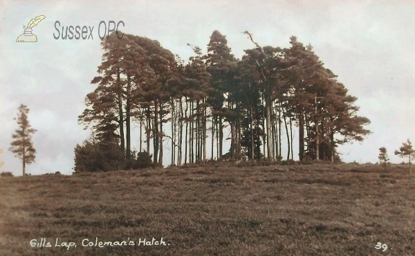 Image of Colemans Hatch - Gills Lap